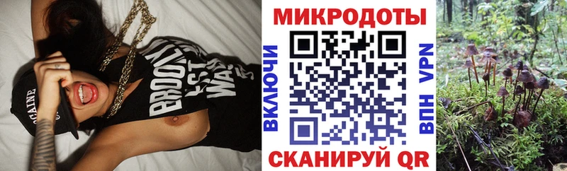 мега маркетплейс  Мезень  Галлюциногенные грибы Psilocybine cubensis  купить наркотики цена 